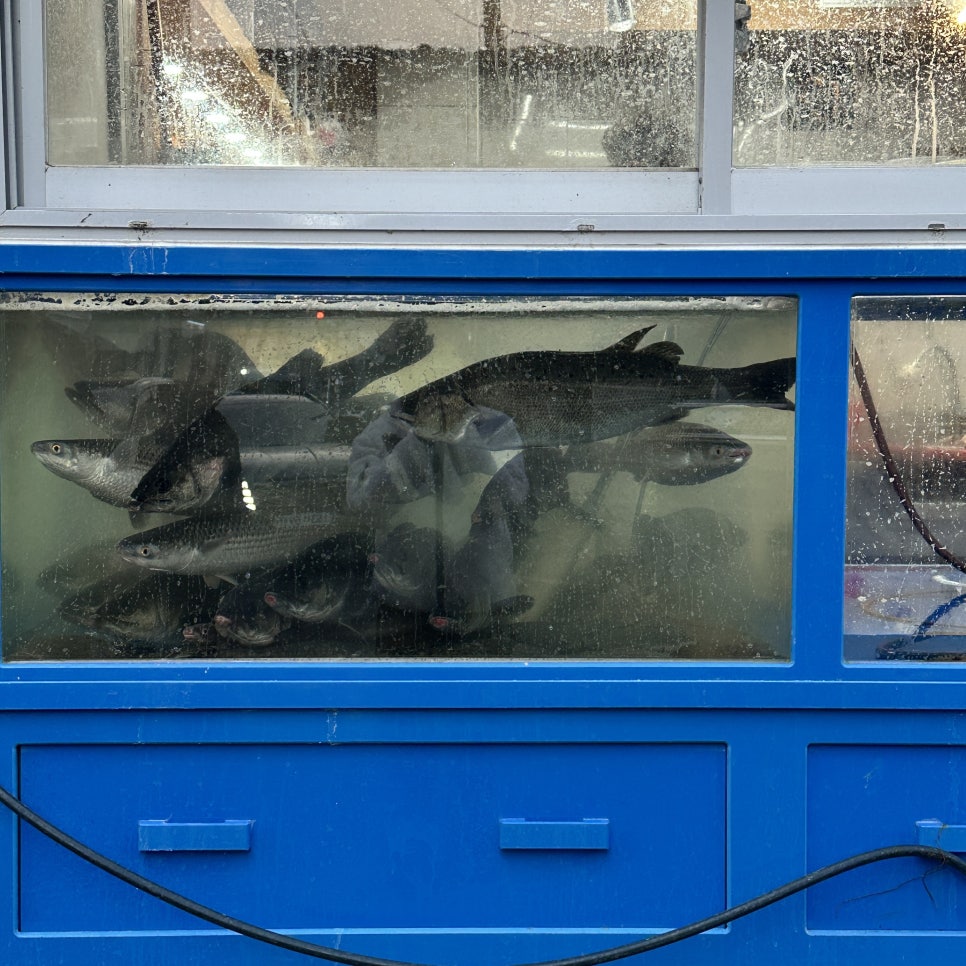 신성수산 이미지
