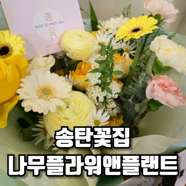 나무플라워앤플랜트 이미지
