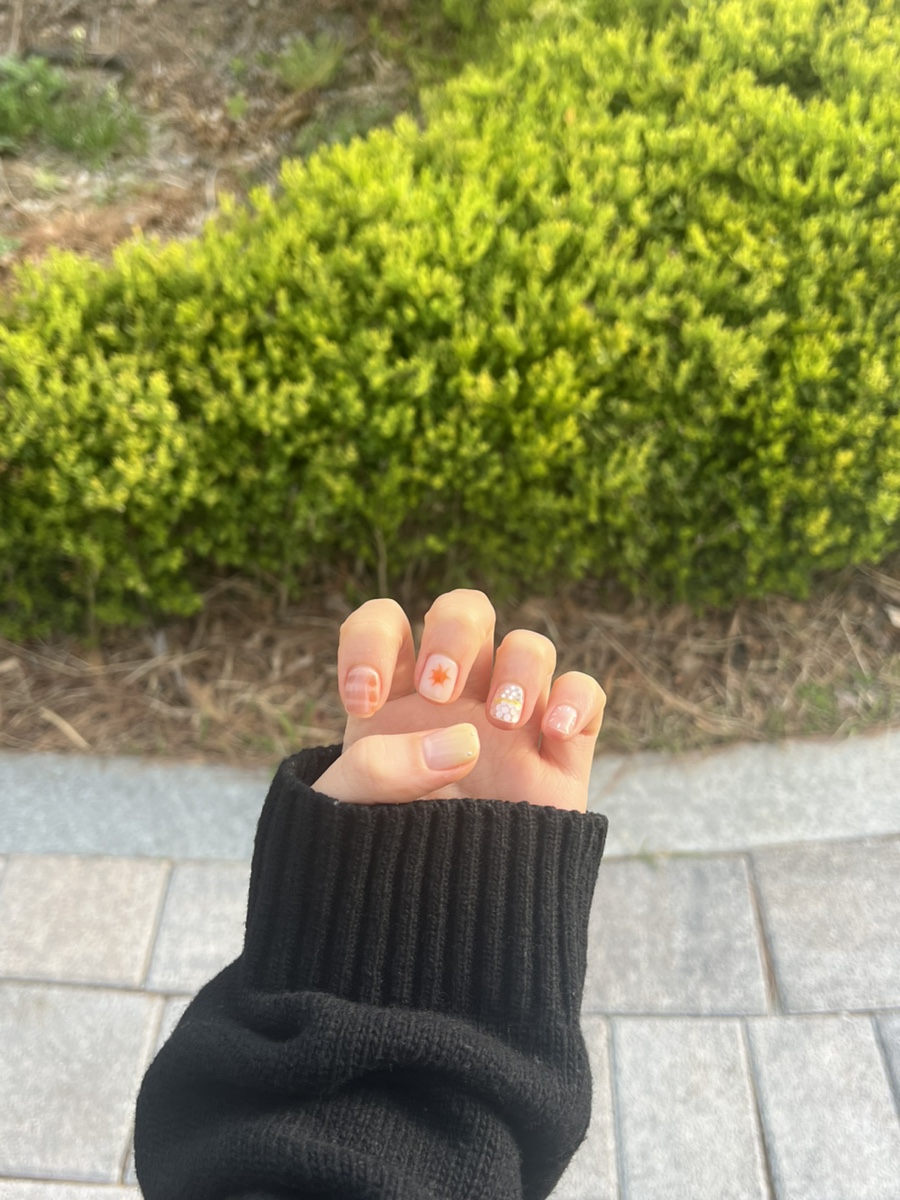 요미네일 이미지