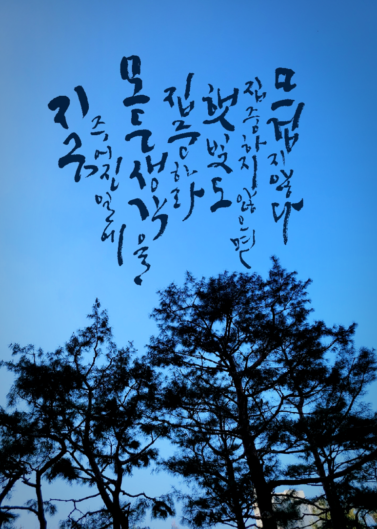 하루캘리서예 이미지