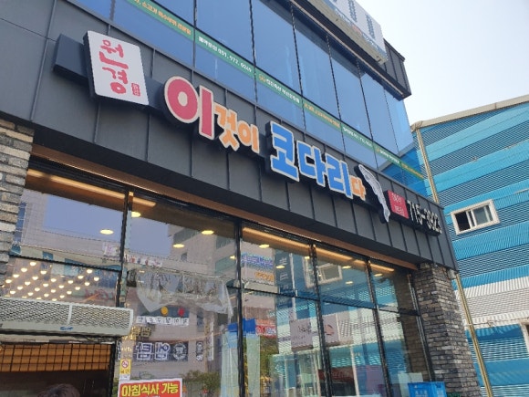 이것이코다리다 이미지
