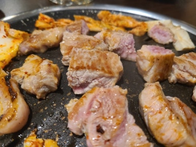 호팬치키니 이미지