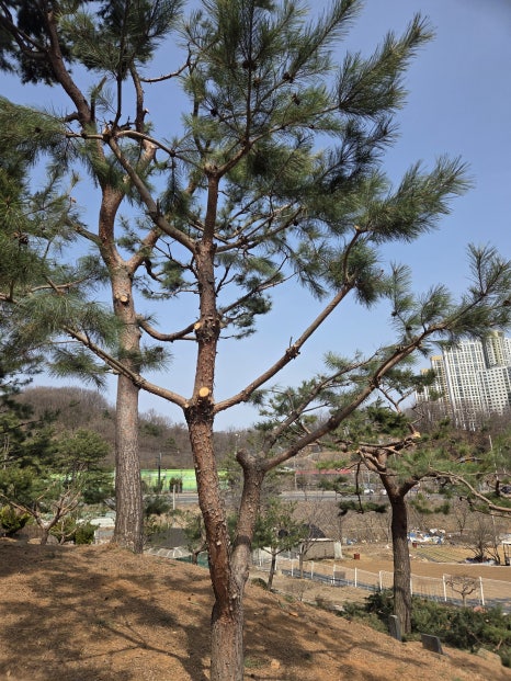 생기농원 이미지