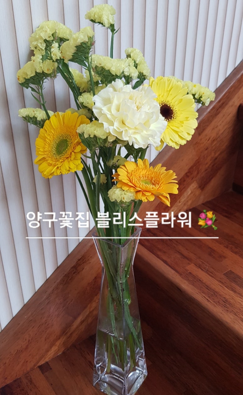 블리스플라워 이미지