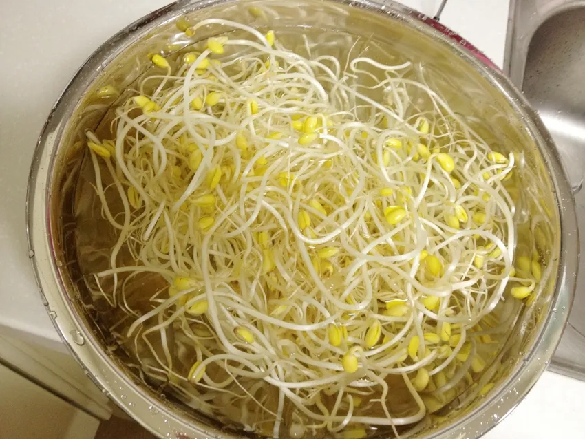 소떼마을 이미지