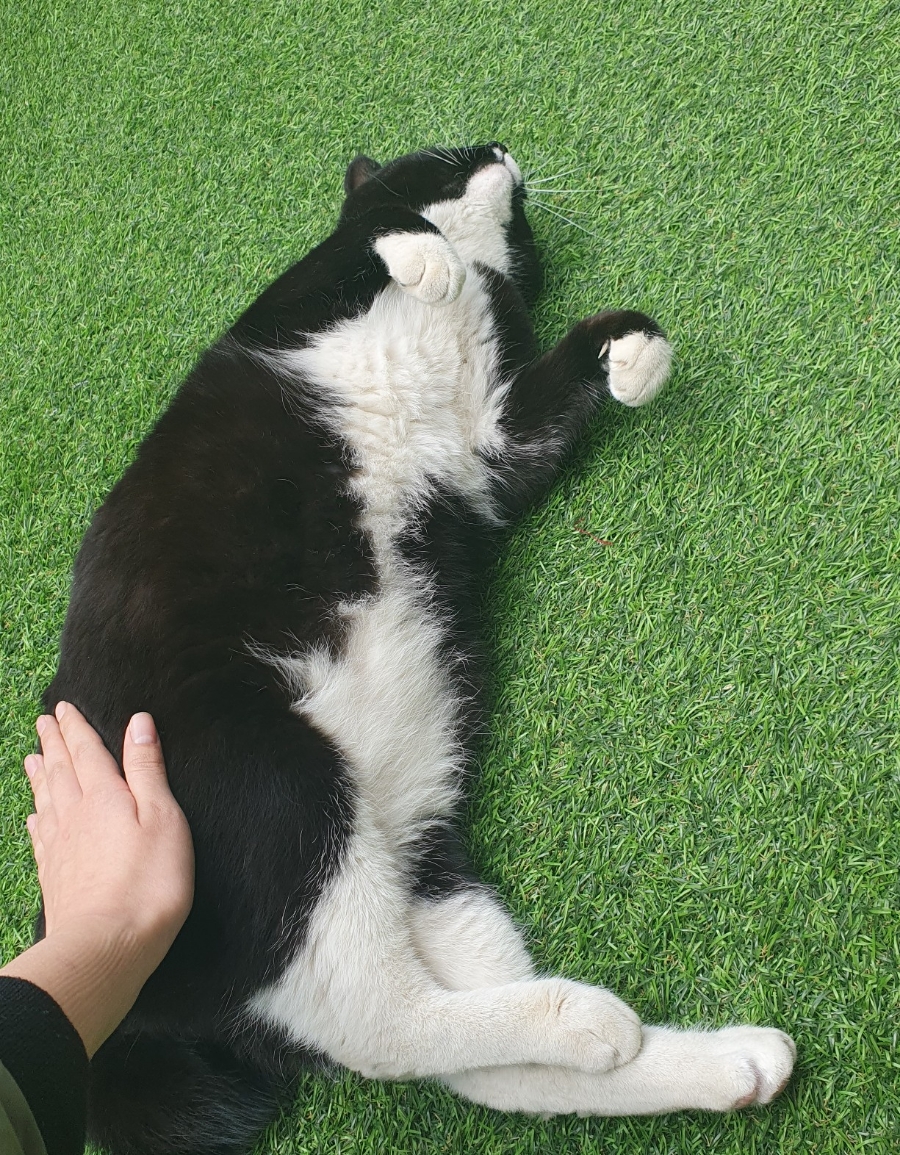 카페길옥 이미지