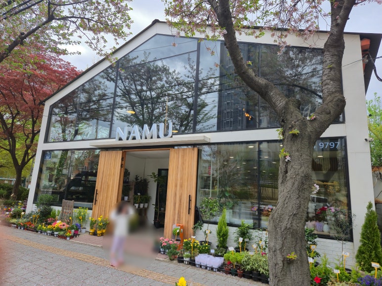 나무플라워앤플랜트 이미지