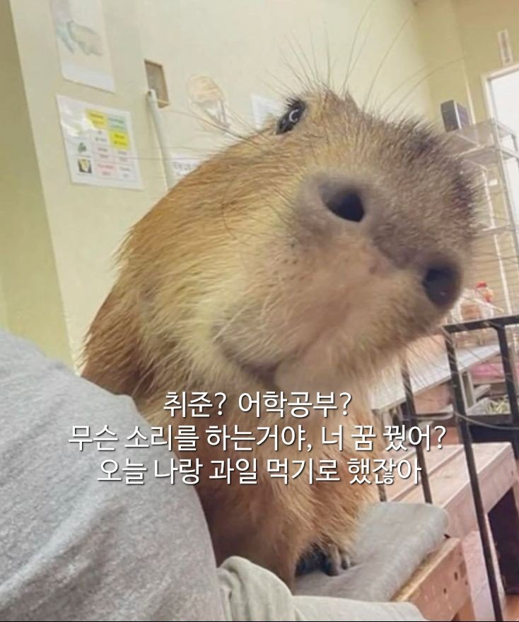 스톤504 스테이크하우스 이미지