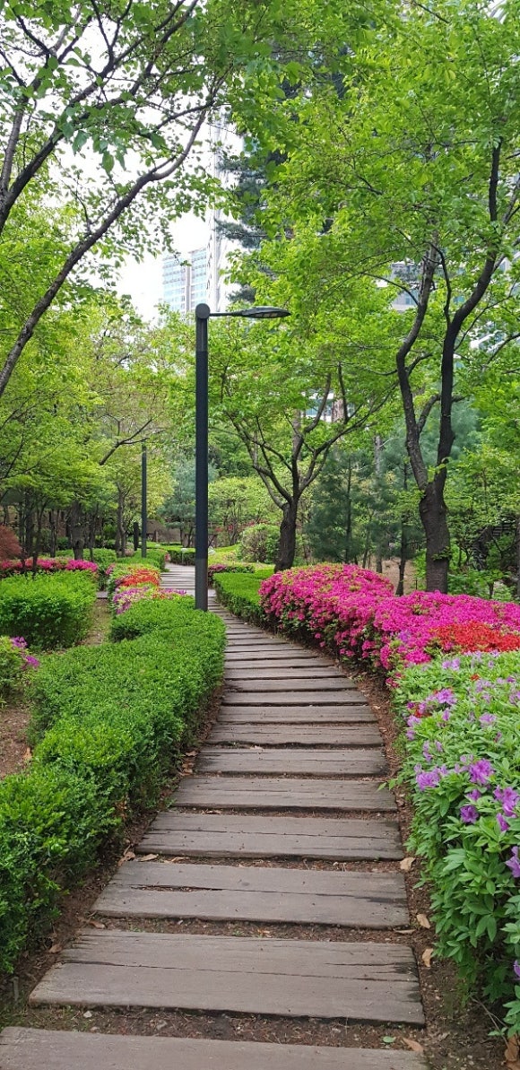 행복한 세상 이미지