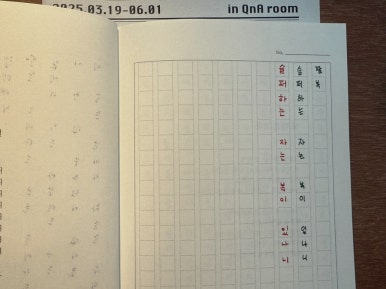 큐엔에이룸 이미지