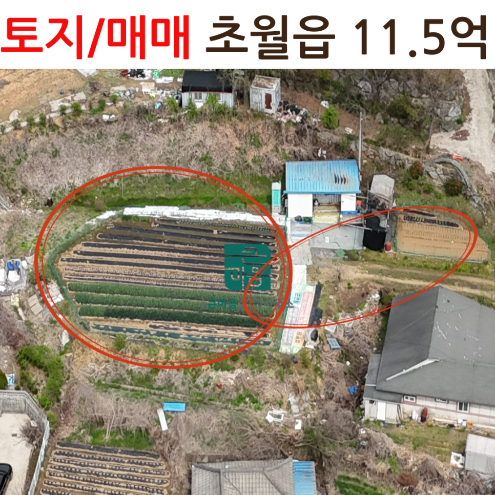 초월행정사사무소 이미지
