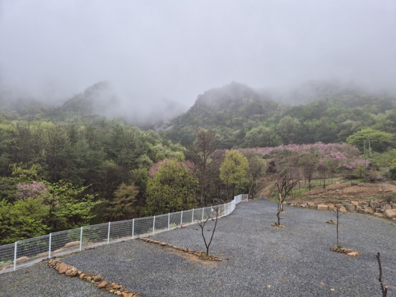 별밤차박캠핑장 이미지