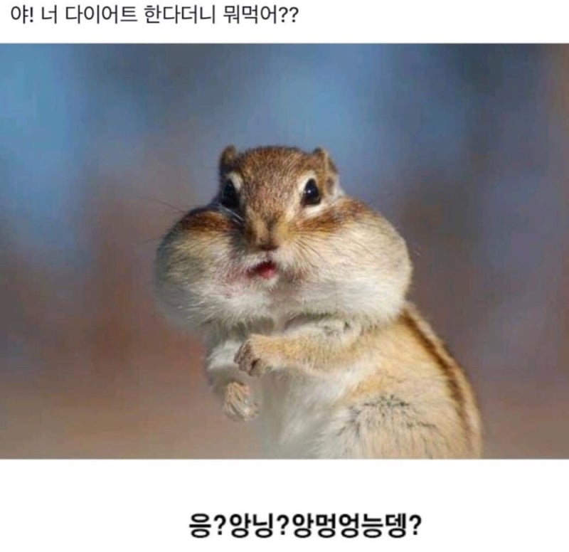 미완성식탁 이미지