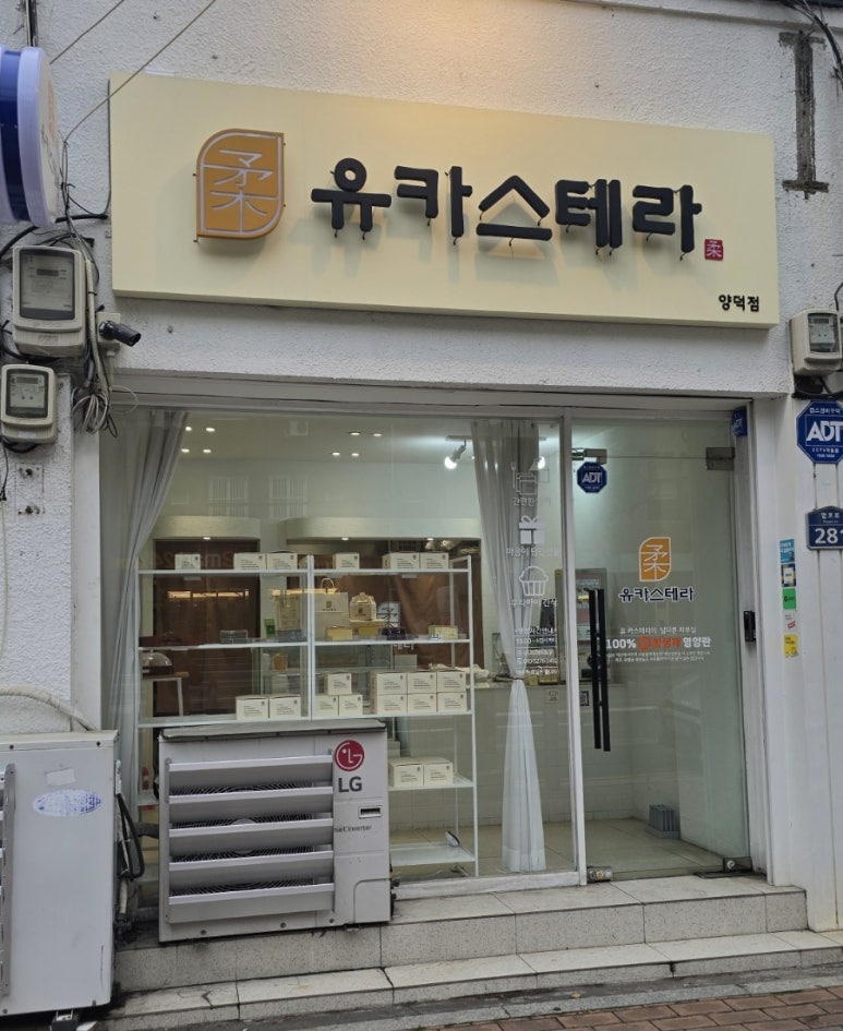 유카스테라 이미지