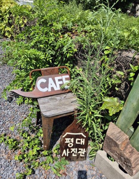초록달사진관 이미지