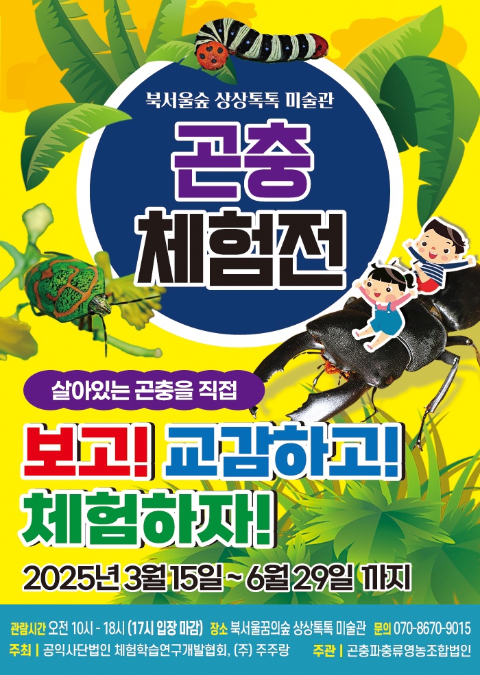 꿈의미술관 이미지