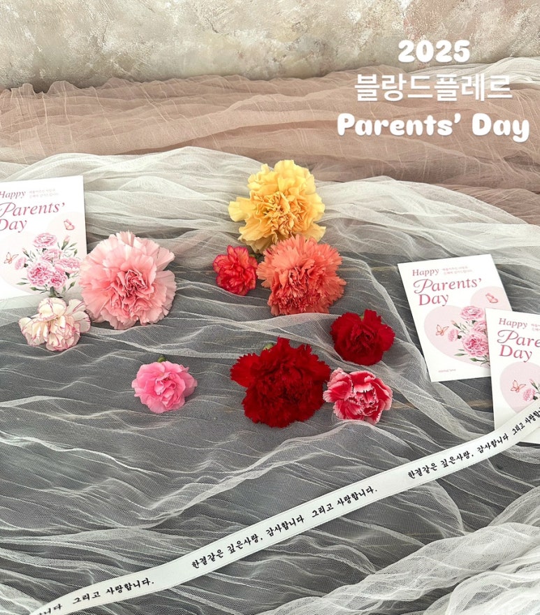 블랑드플레르 이미지