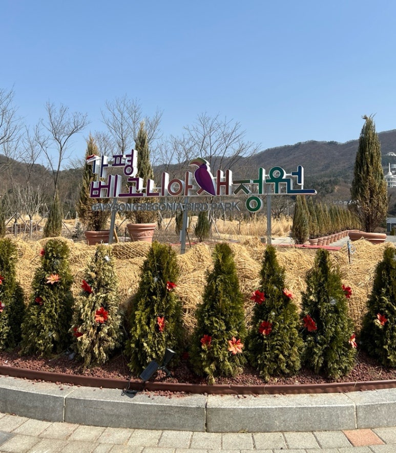 새곳처럼 이미지