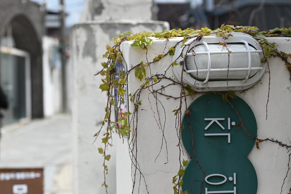 서린상회 이미지