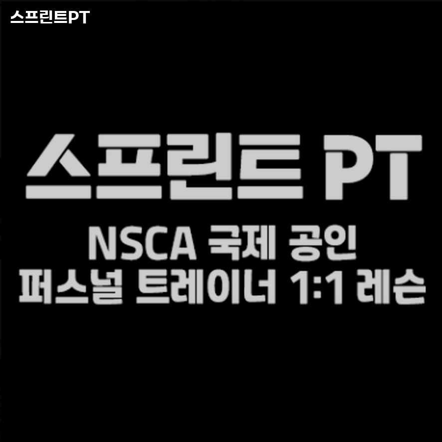스프린트PT 이미지