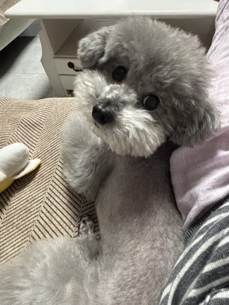 훅 이미지