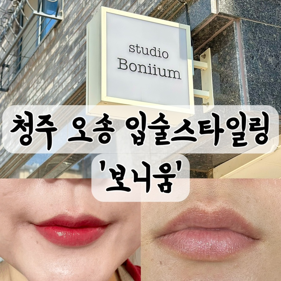 보니움 이미지
