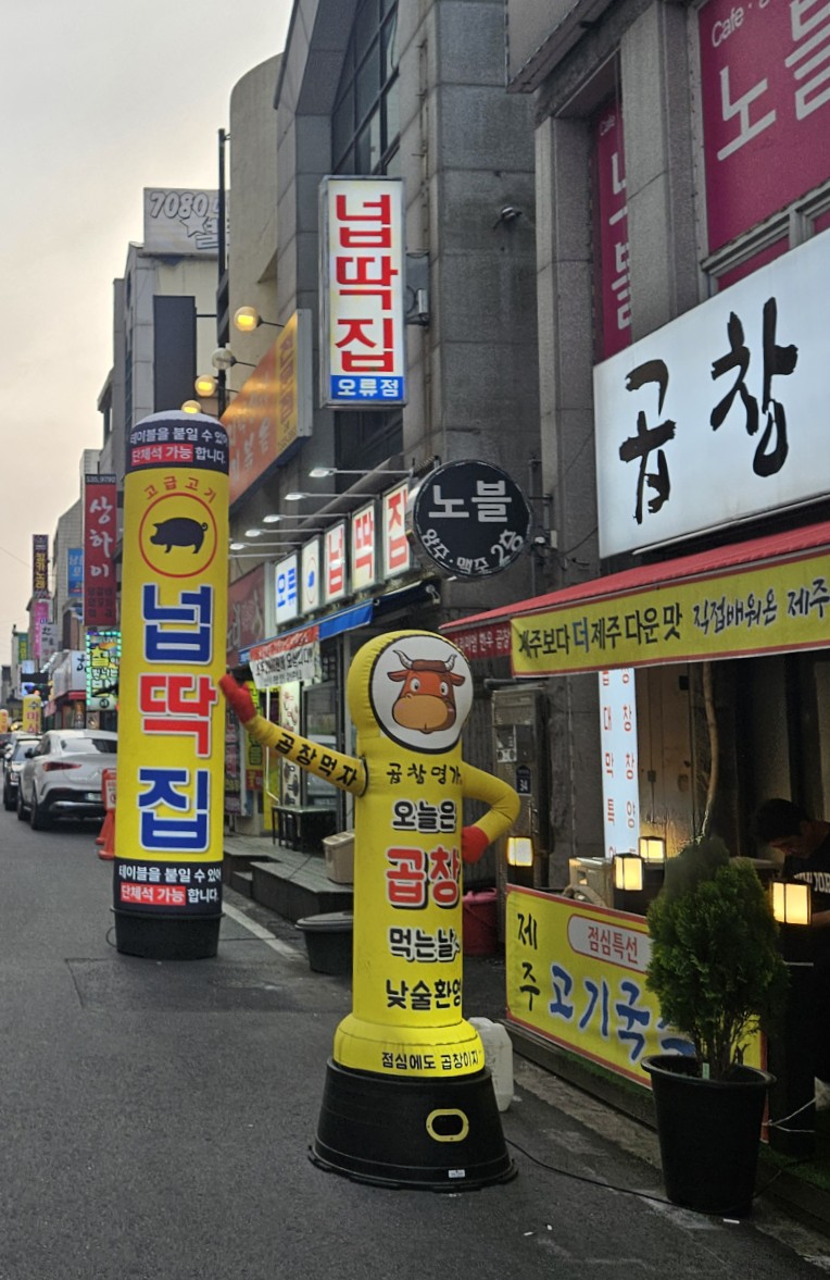 넙딱집대전 이미지