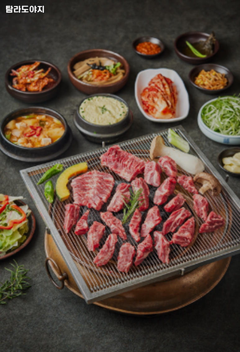 탐라도야지2 이미지