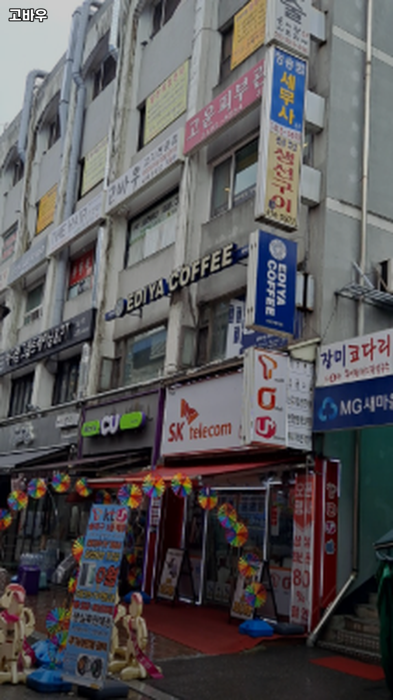 고바우 사진 8