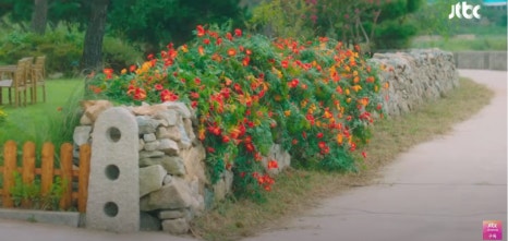 Noeul Park