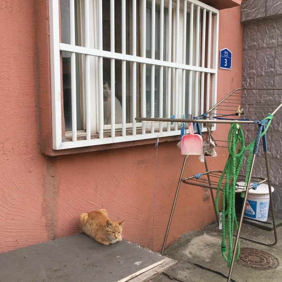 올투게더 이미지