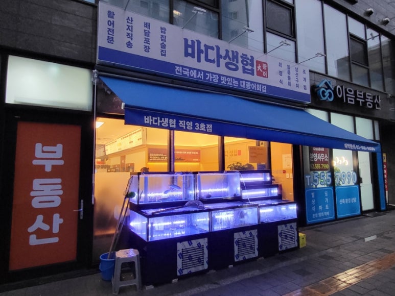 바다생협대광어강남 이미지