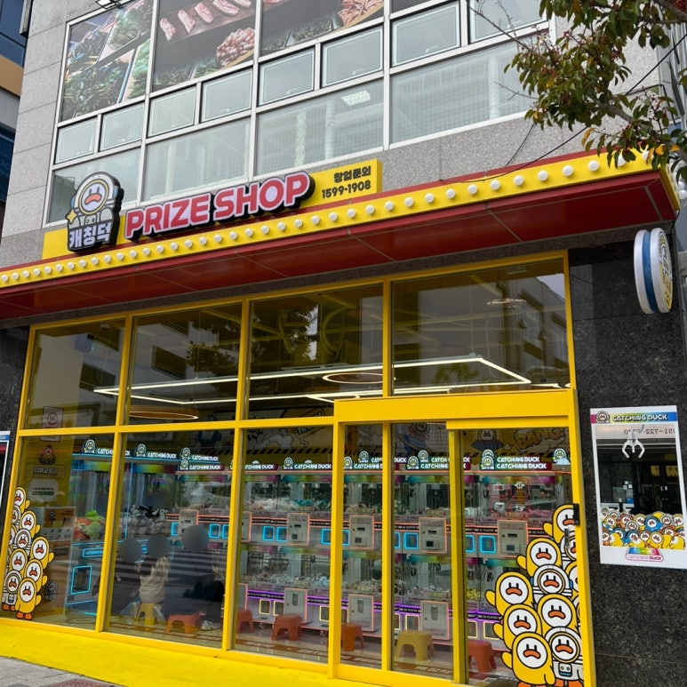 캐칭덕 이미지