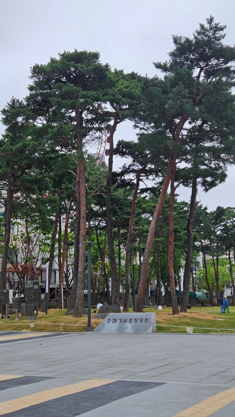 다원조경설계사무소 이미지