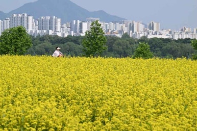 CONLAB 이미지