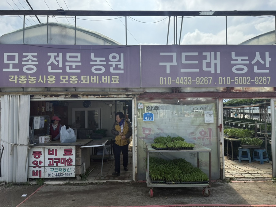 우리농산모종 이미지