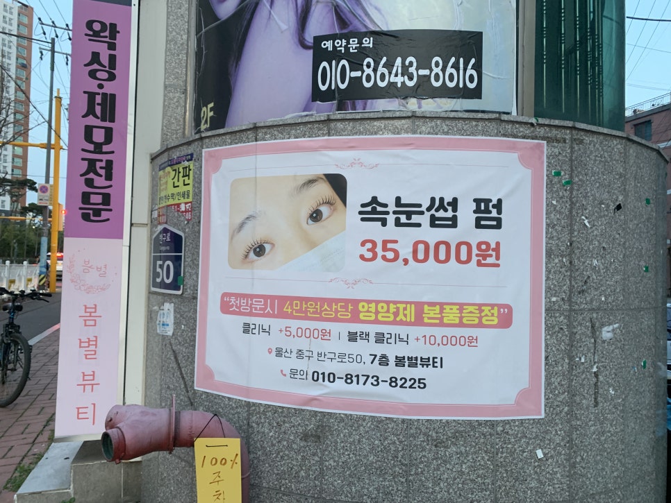 봄별 이미지
