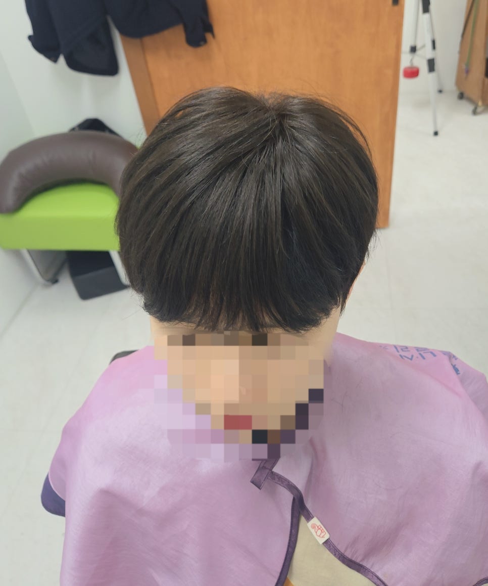 리썸위그 이미지