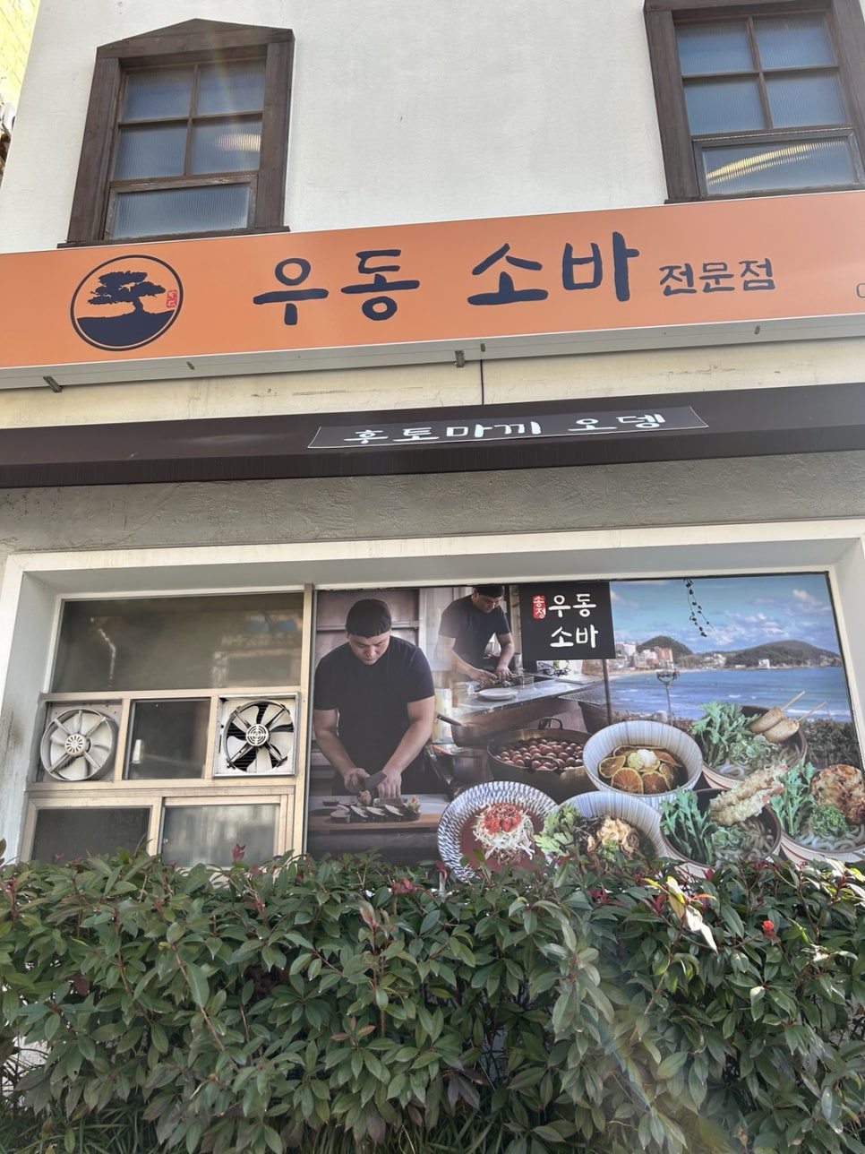 흑송 이미지