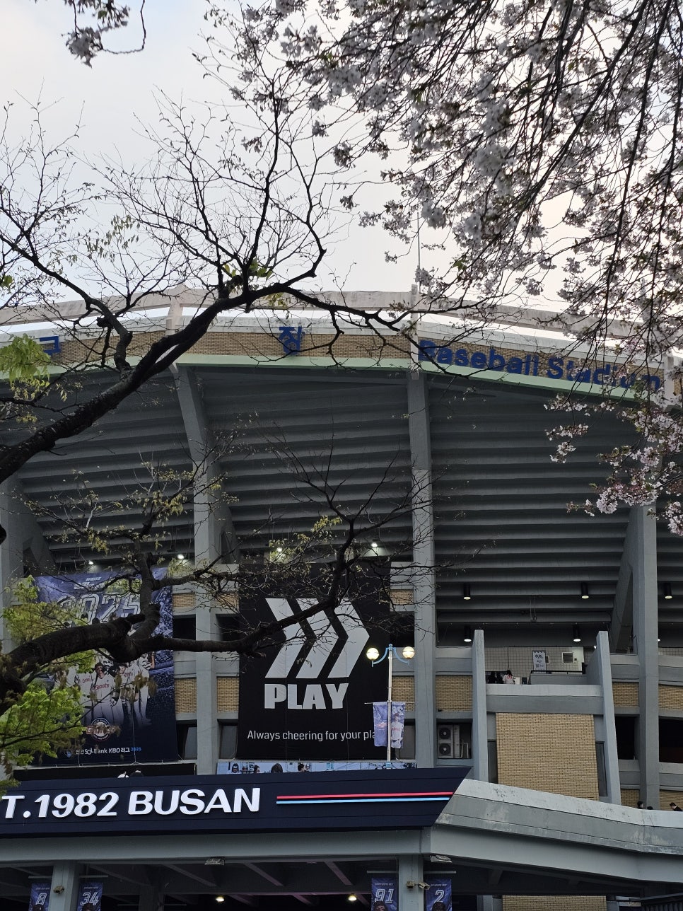 샵132 이미지