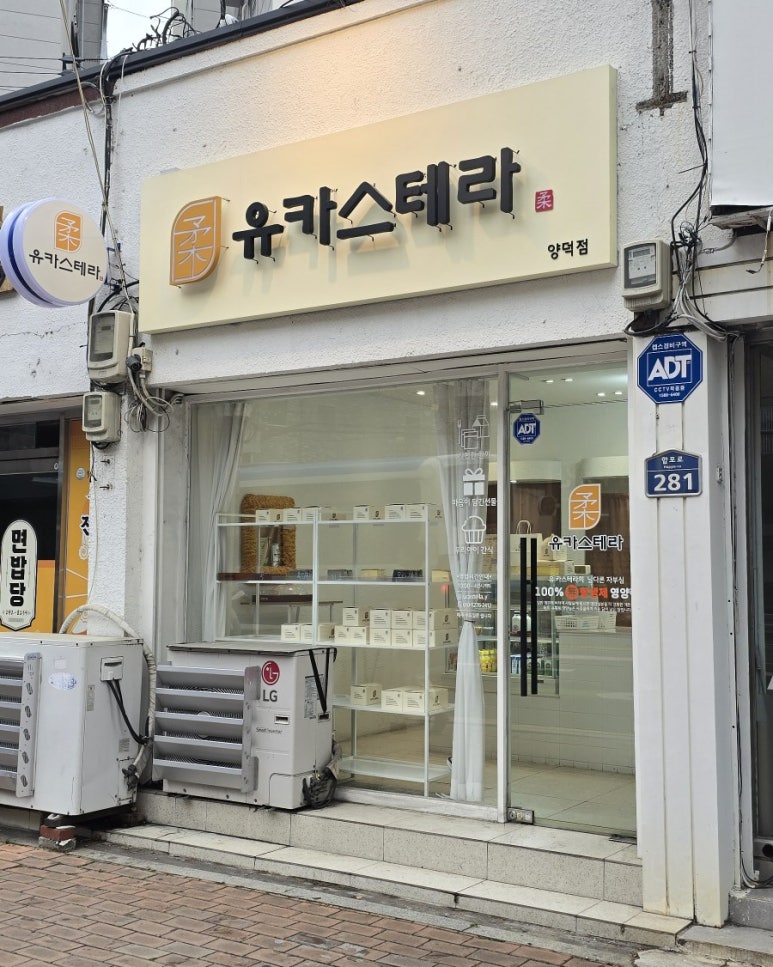 유카스테라 이미지