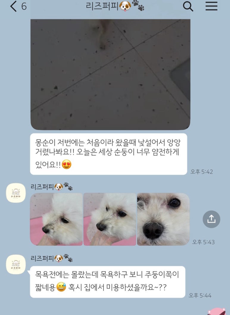 리즈더샵 이미지