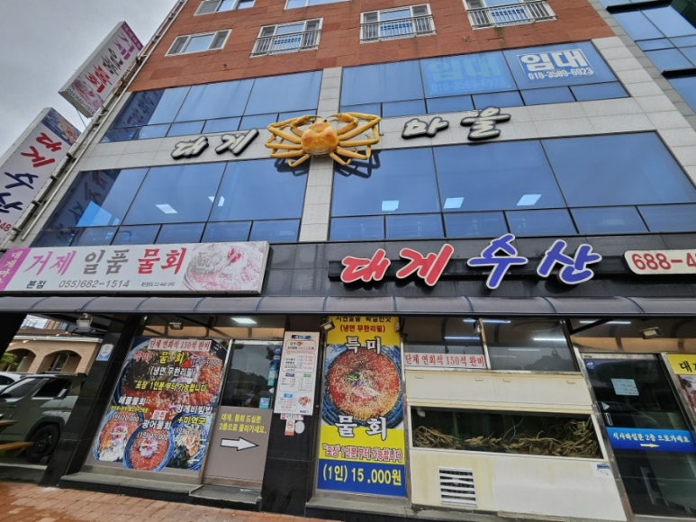 대게마을 거제일품물회 본점 이미지