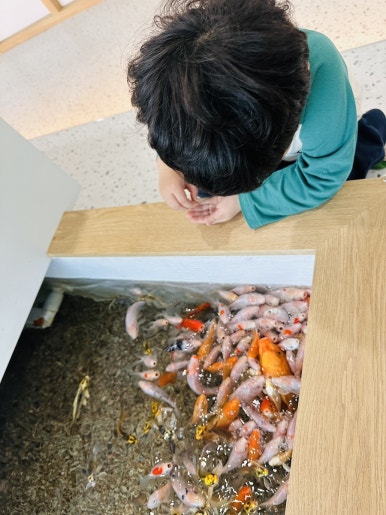 물고기카페분식 이미지
