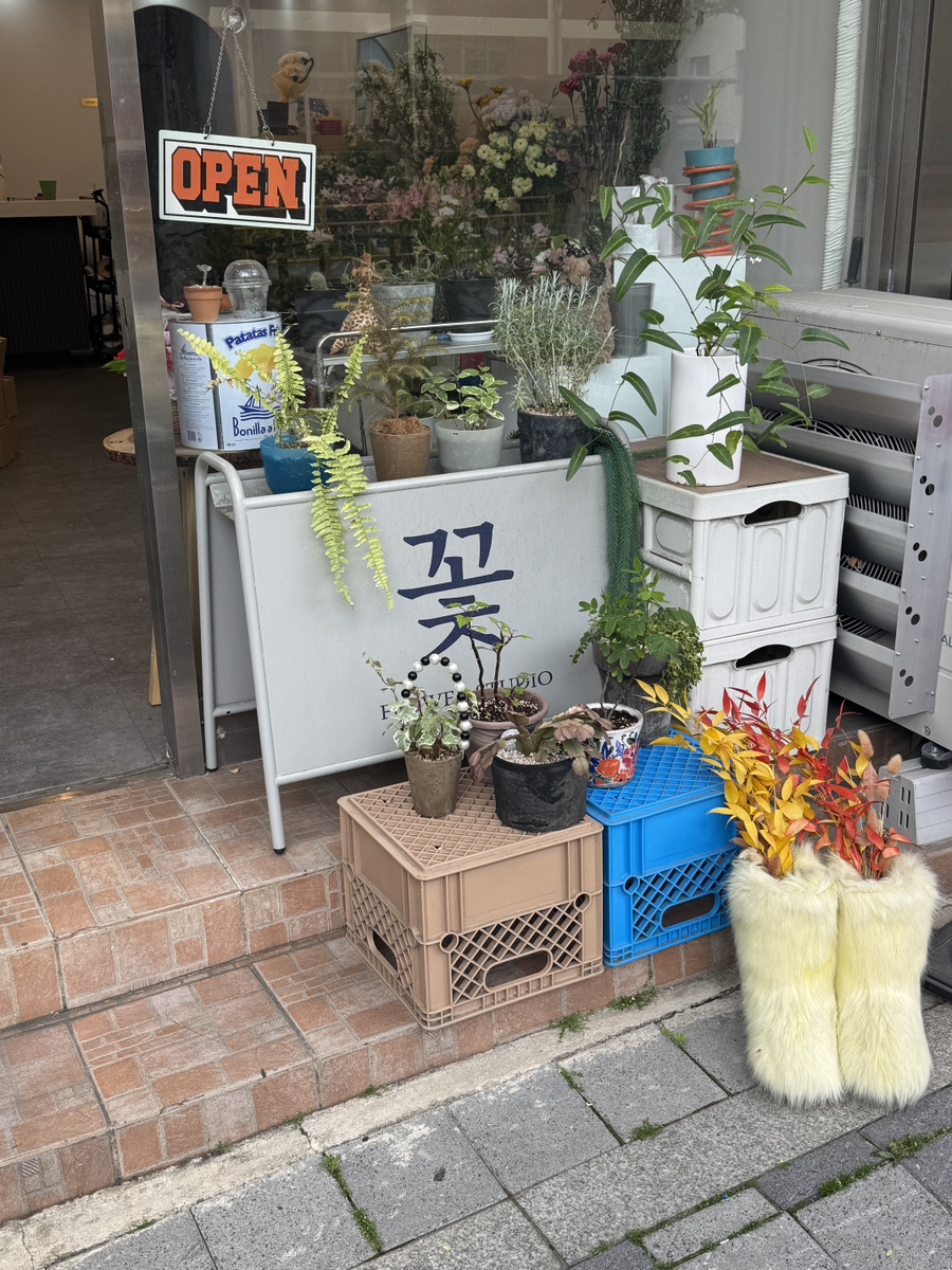 커들리플라워 이미지