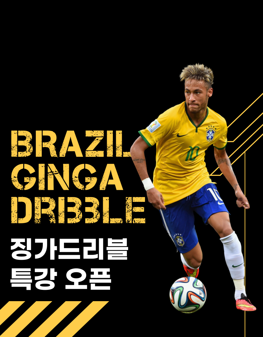 징가(ginga) 이미지