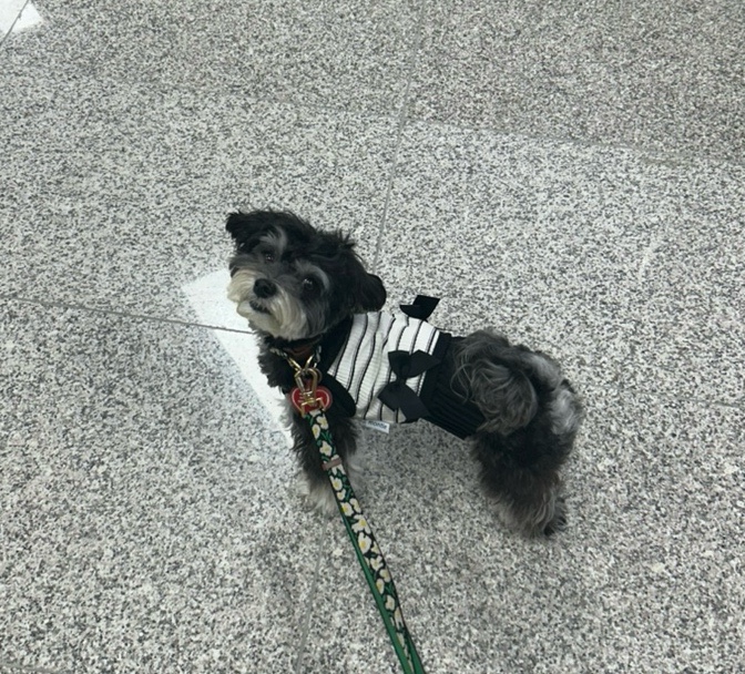 딘네일 이미지