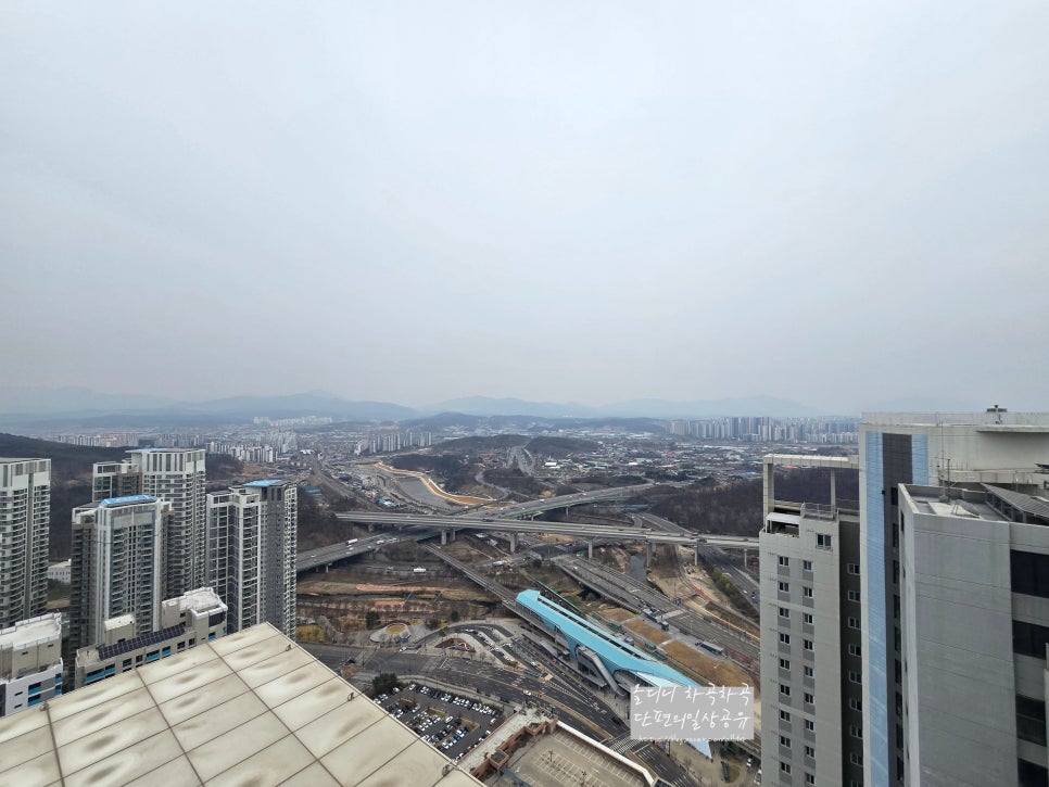 반달곰만두 이미지