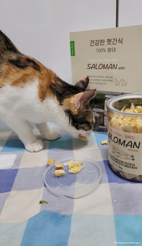 큐브디앤씨 이미지