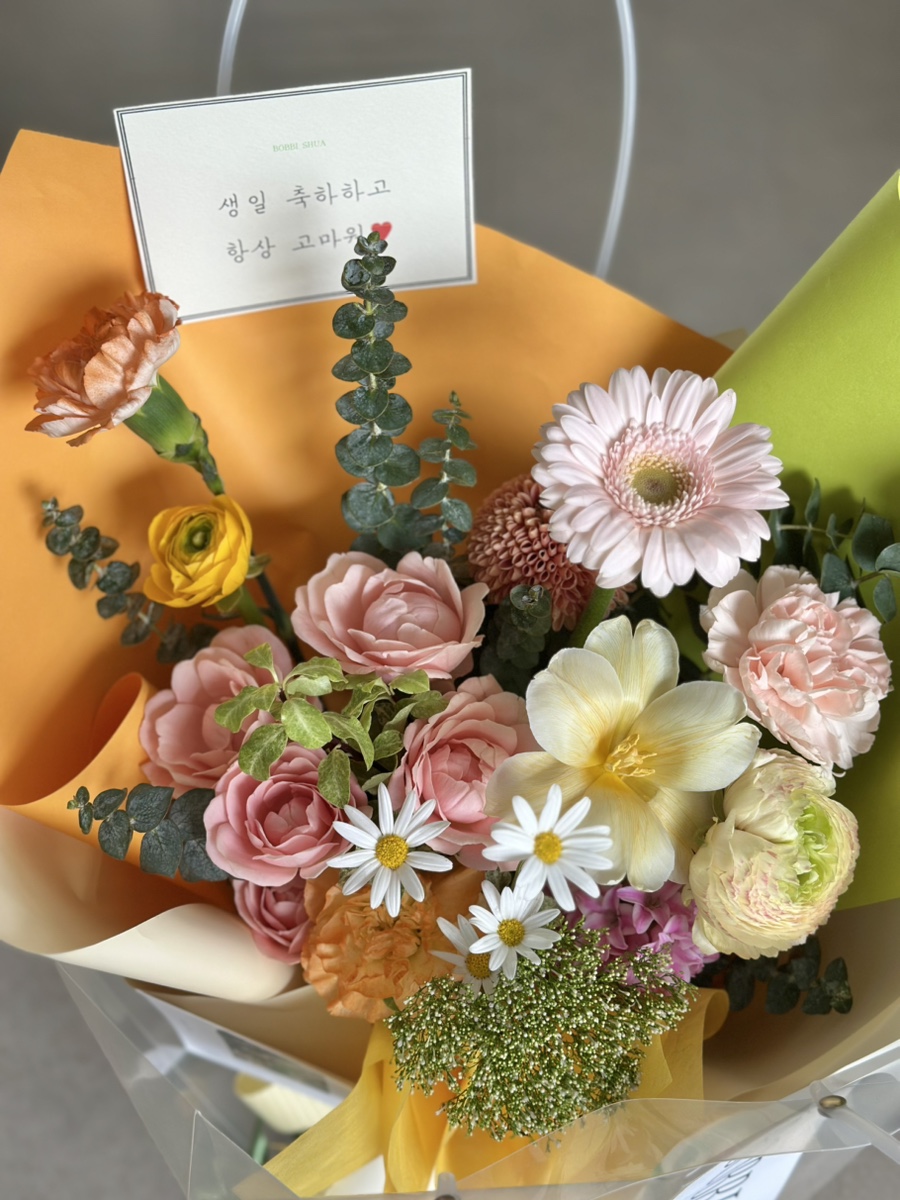 바비슈아 이미지